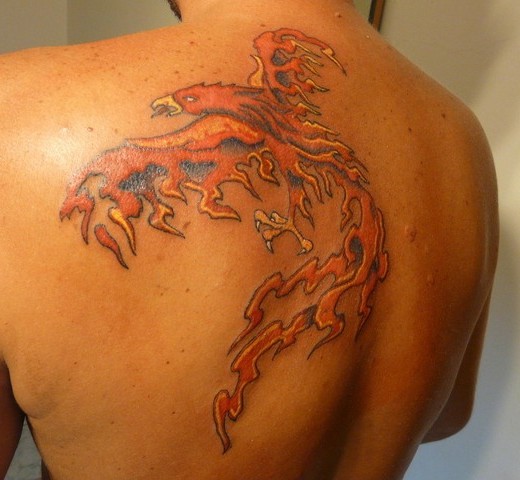 rsz_firebird-520x480